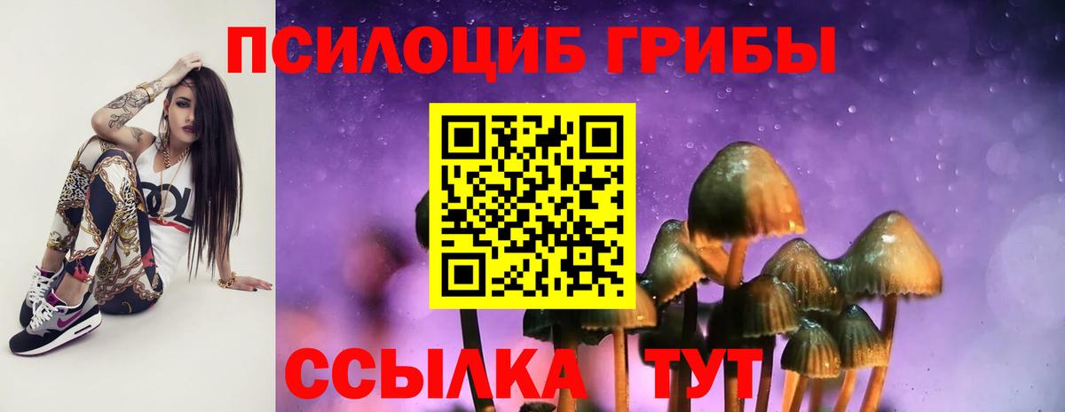 Псилоцибиновые грибы мицелий Белая Калитва