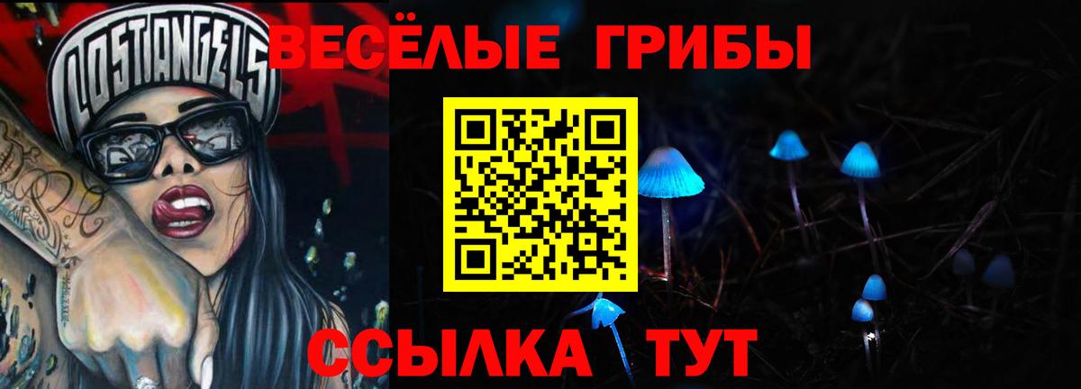 Псилоцибиновые грибы Psilocybe  Псилоцибиновые грибы Cubensis  Вход с VPN  Белая Калитва 
